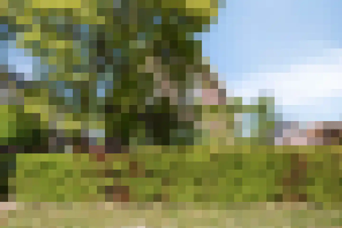 Kerkstraat 28 Veessen thumbnail 8