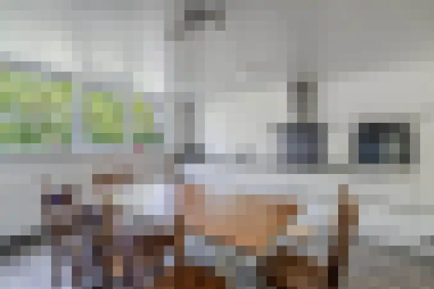 Kerkstraat 28 Wolvega thumbnail 22