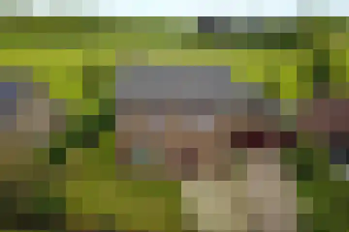 Kerkstraat 29 in Drempt