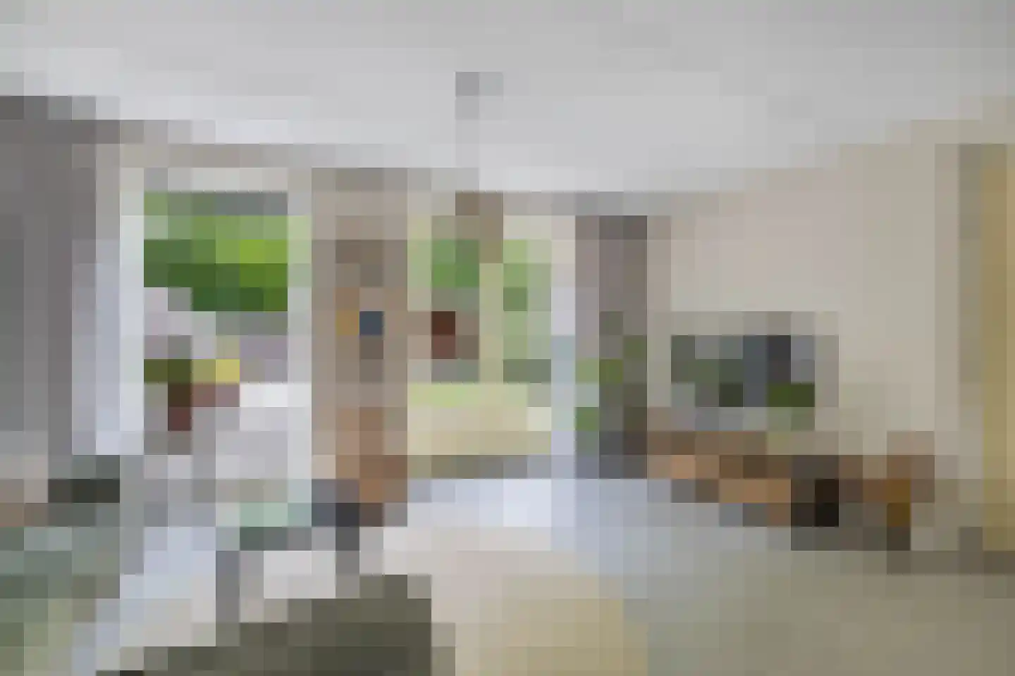 Kerkstraat 29 Luttelgeest thumbnail 12