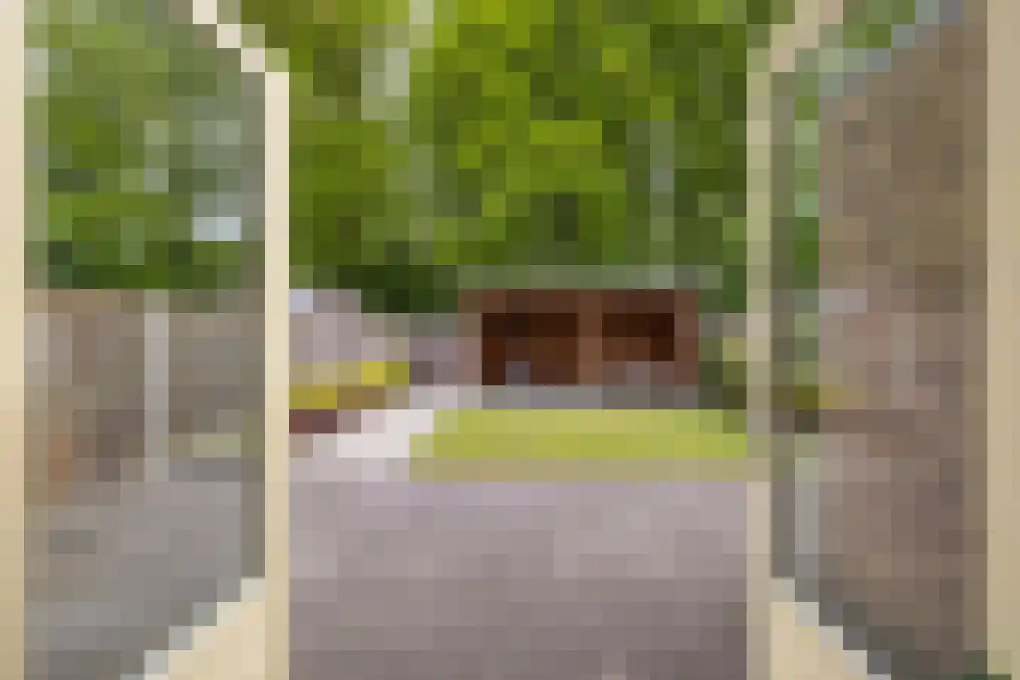 Kerkstraat 29 Luttelgeest thumbnail 13