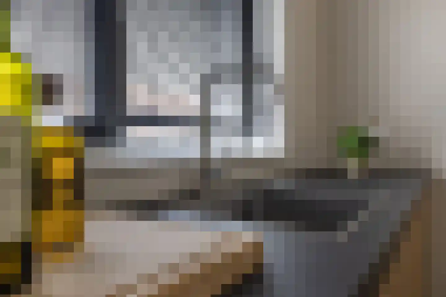 Kerkstraat 29 Luttelgeest thumbnail 20