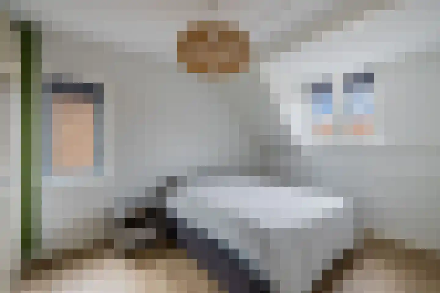 Kerkstraat 29 Luttelgeest thumbnail 23