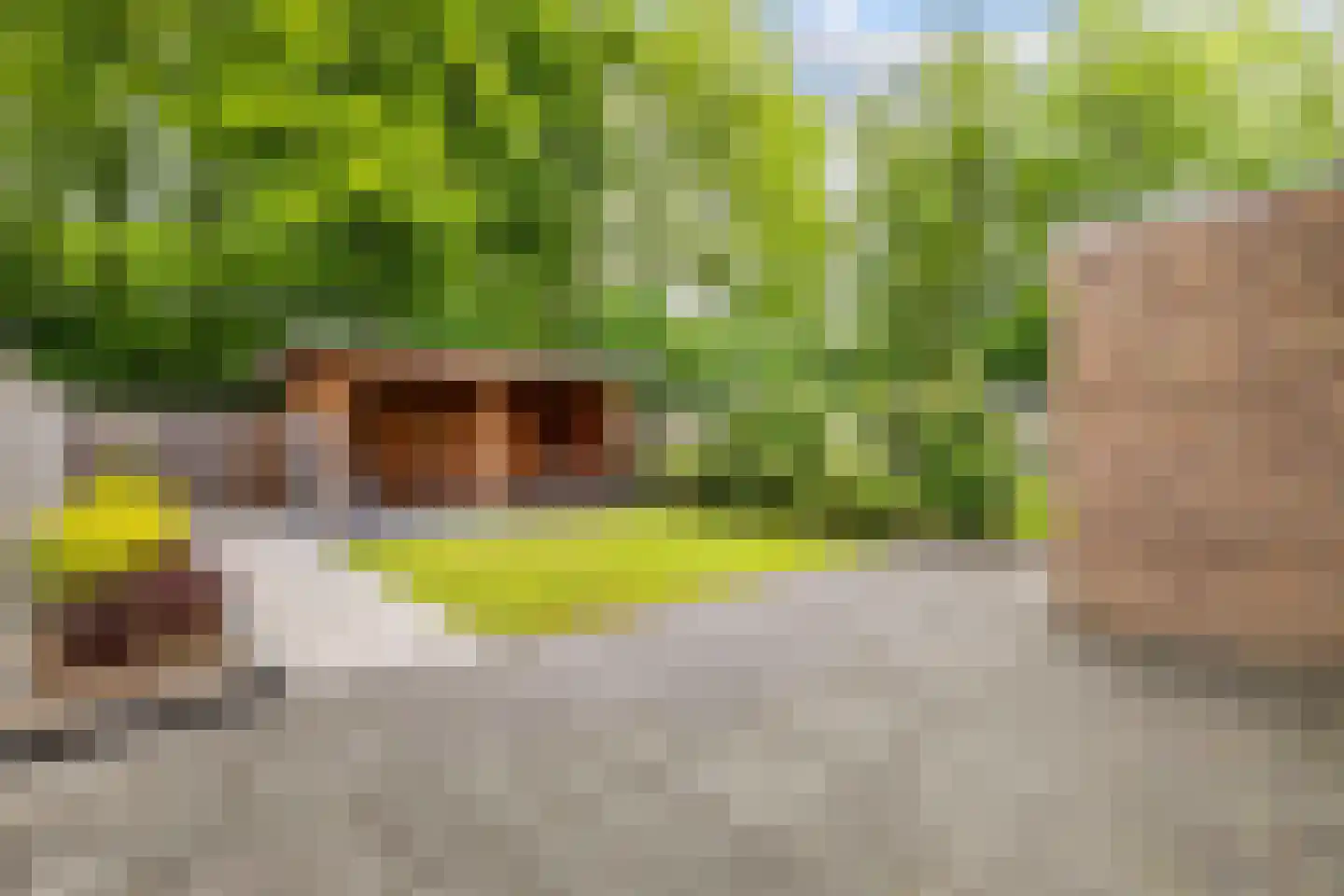 Kerkstraat 29 Luttelgeest thumbnail 32