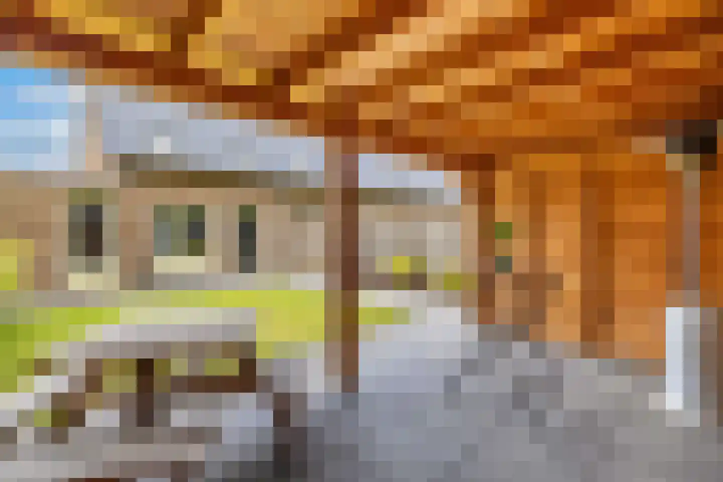 Kerkstraat 29 Luttelgeest thumbnail 35
