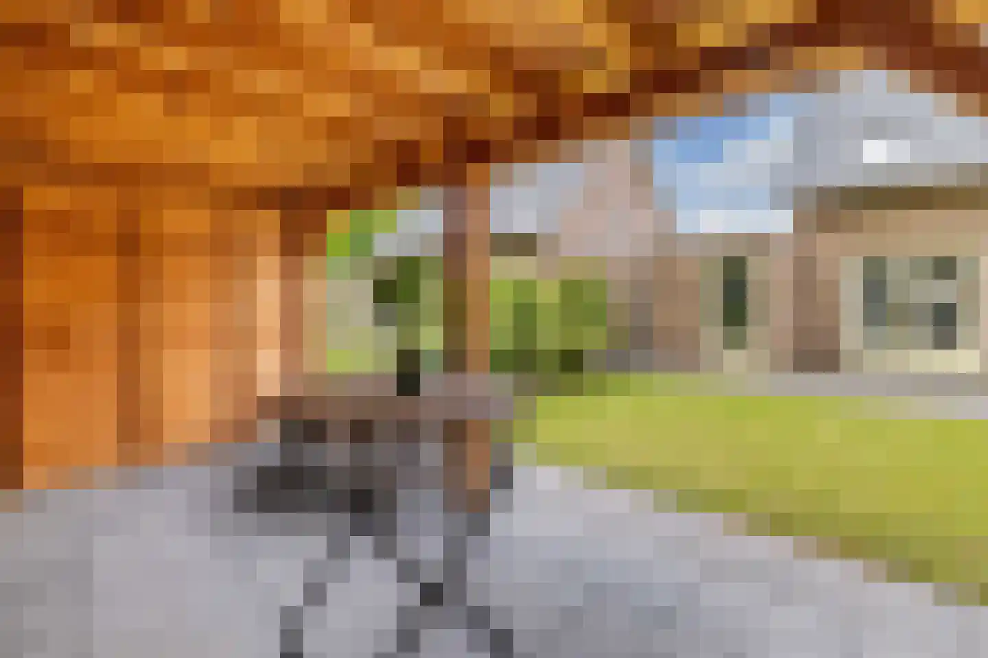 Kerkstraat 29 Luttelgeest thumbnail 37