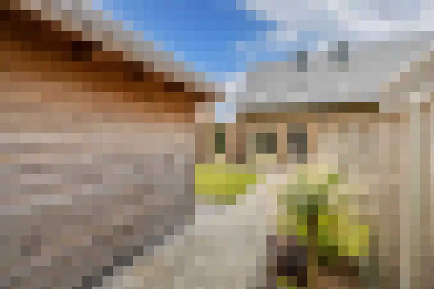Kerkstraat 29 Luttelgeest thumbnail 38