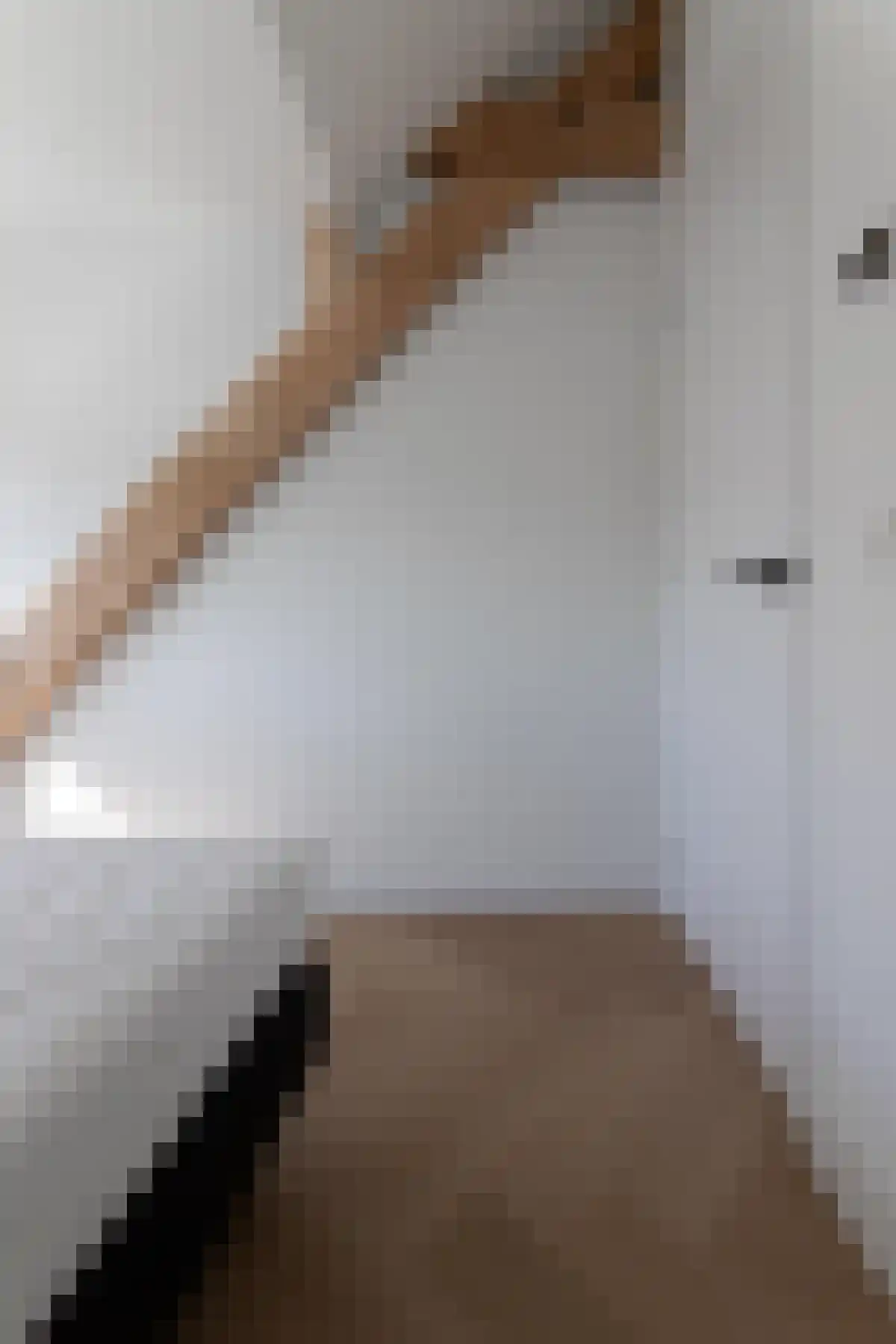 Kerkstraat 29 Oisterwijk thumbnail 5