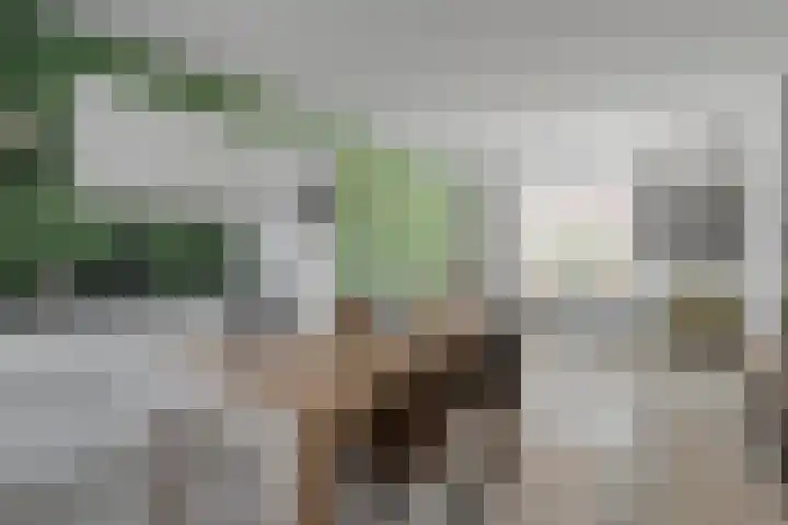 Kerkstraat 29 Slootdorp thumbnail 10