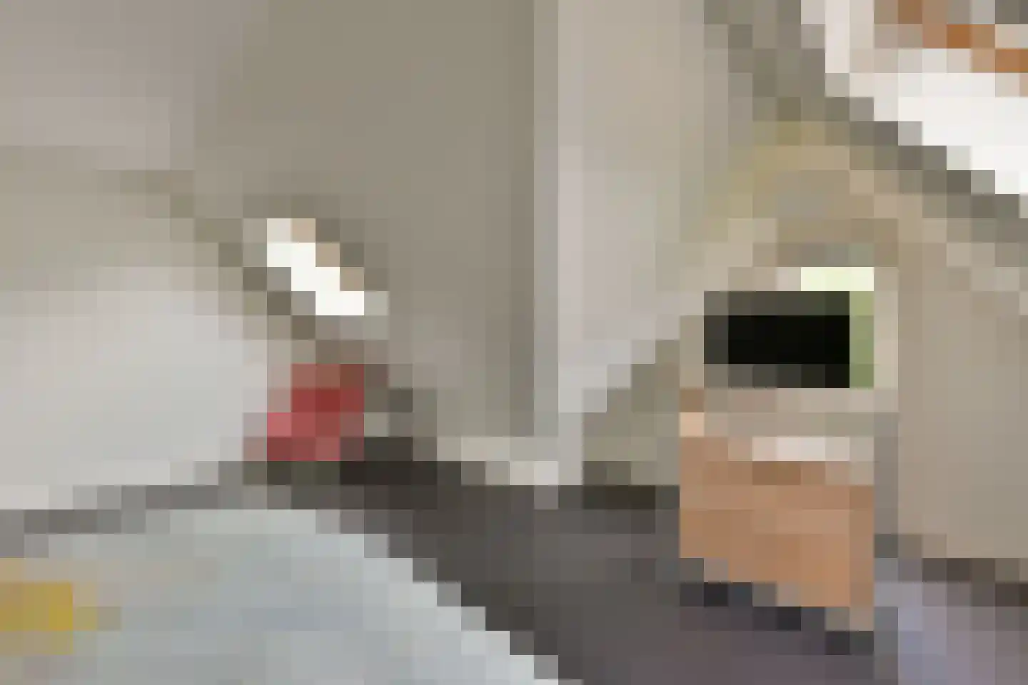Kerkstraat 29 Wognum thumbnail 24