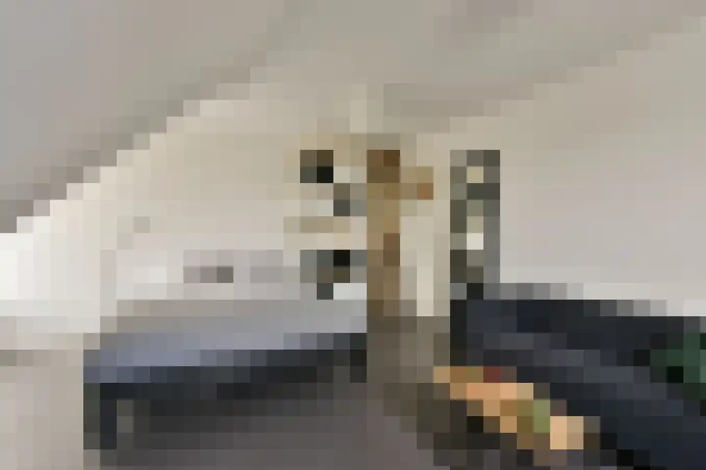 Kerkstraat 29 Wognum thumbnail 29