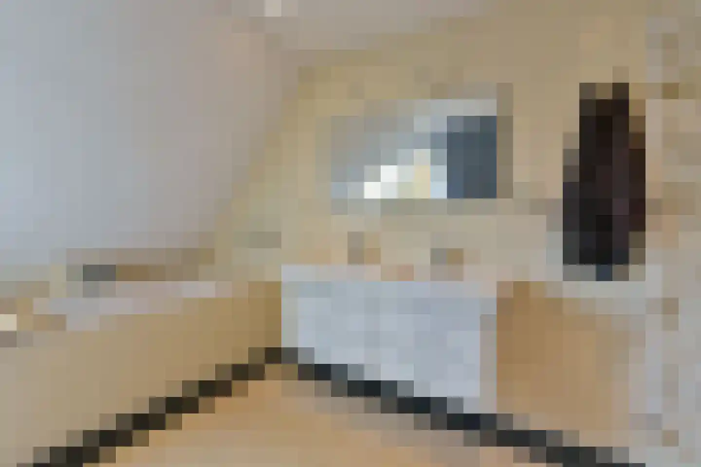 Kerkstraat 29 Wognum thumbnail 33