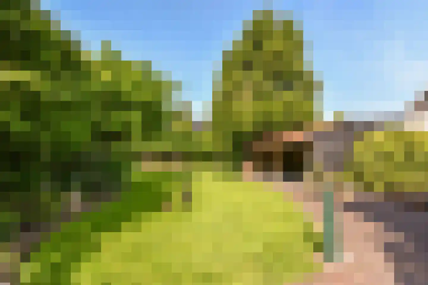 Kerkstraat 29 Wognum thumbnail 40
