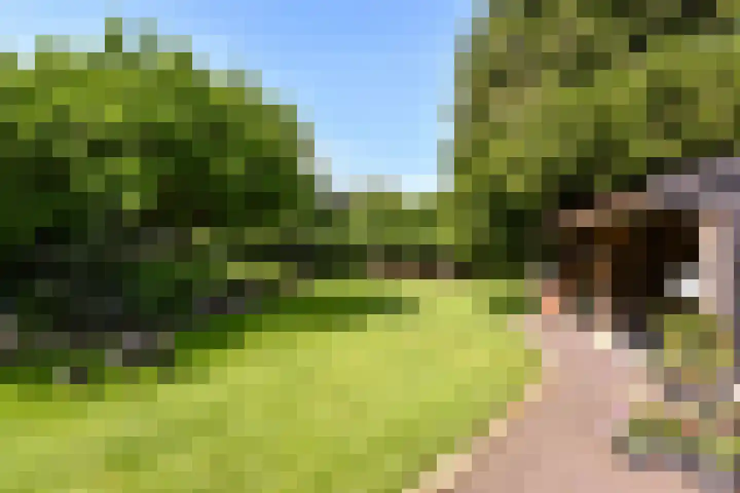Kerkstraat 29 Wognum thumbnail 41