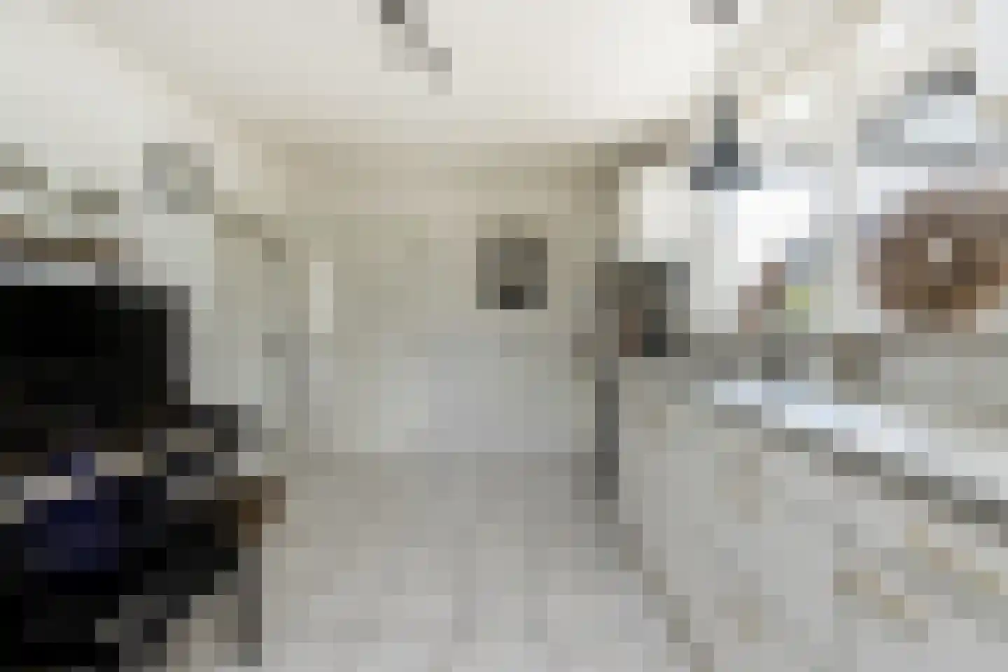 Kerkstraat 3 Aalst thumbnail 10