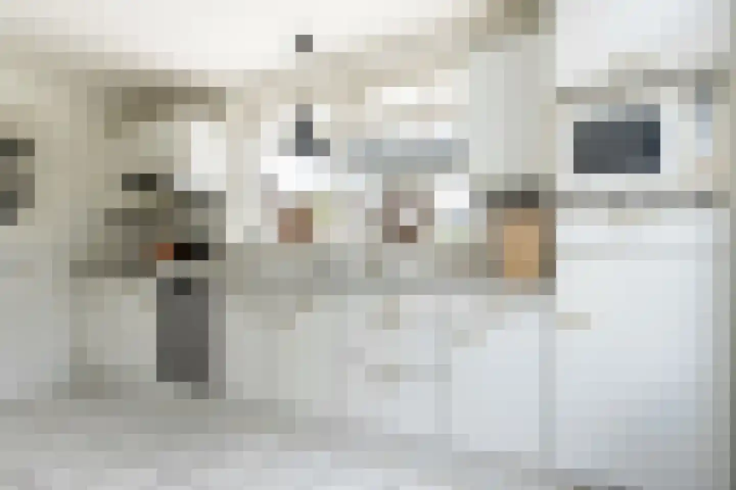 Kerkstraat 3 Aalst thumbnail 11