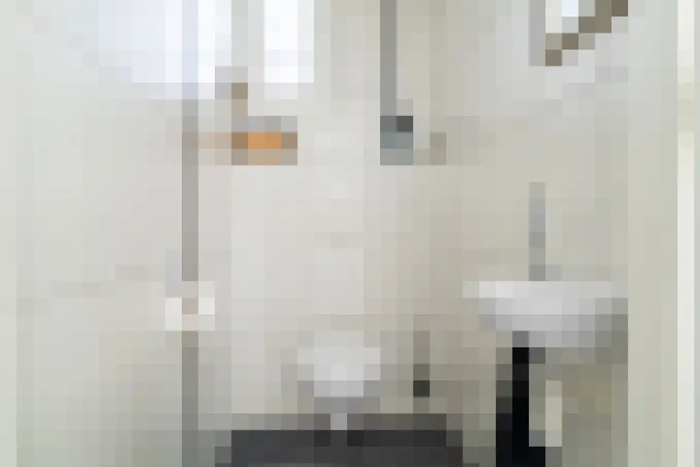 Kerkstraat 3 Andel thumbnail 14
