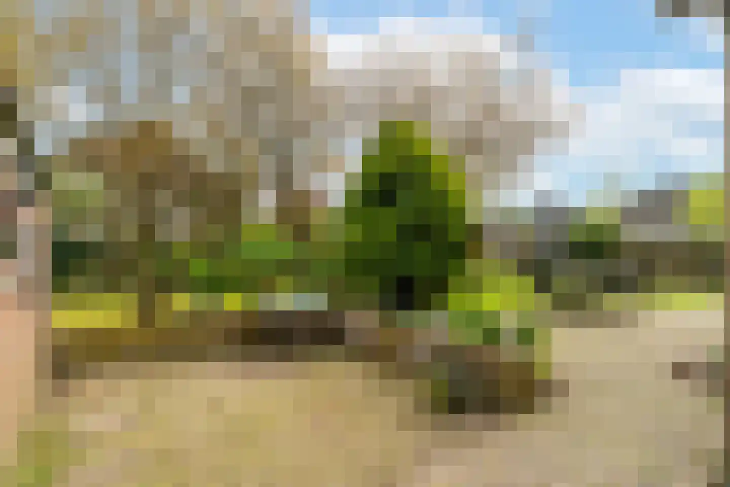 Kerkstraat 3 Andel thumbnail 28
