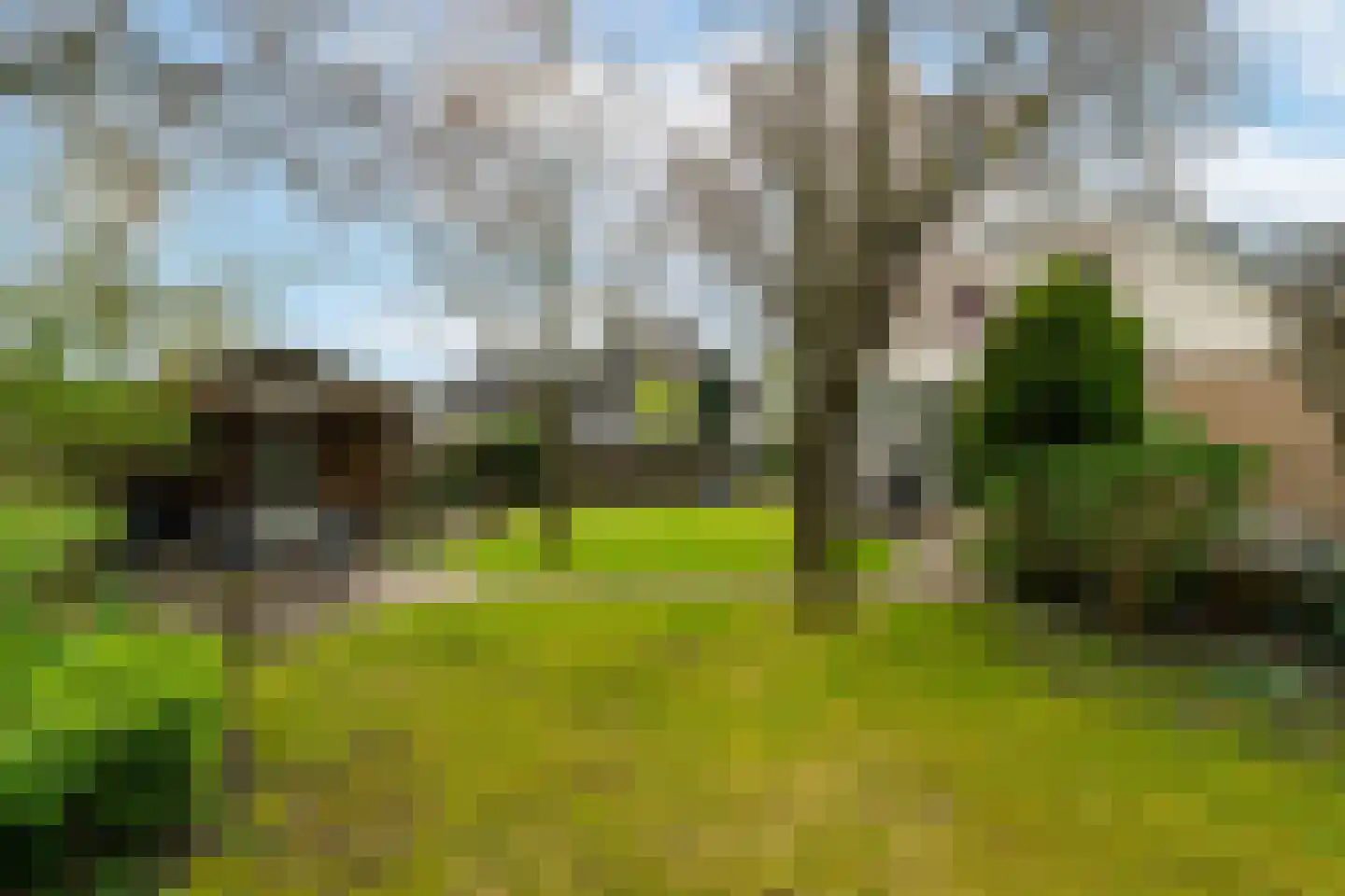 Kerkstraat 3 Andel thumbnail 34