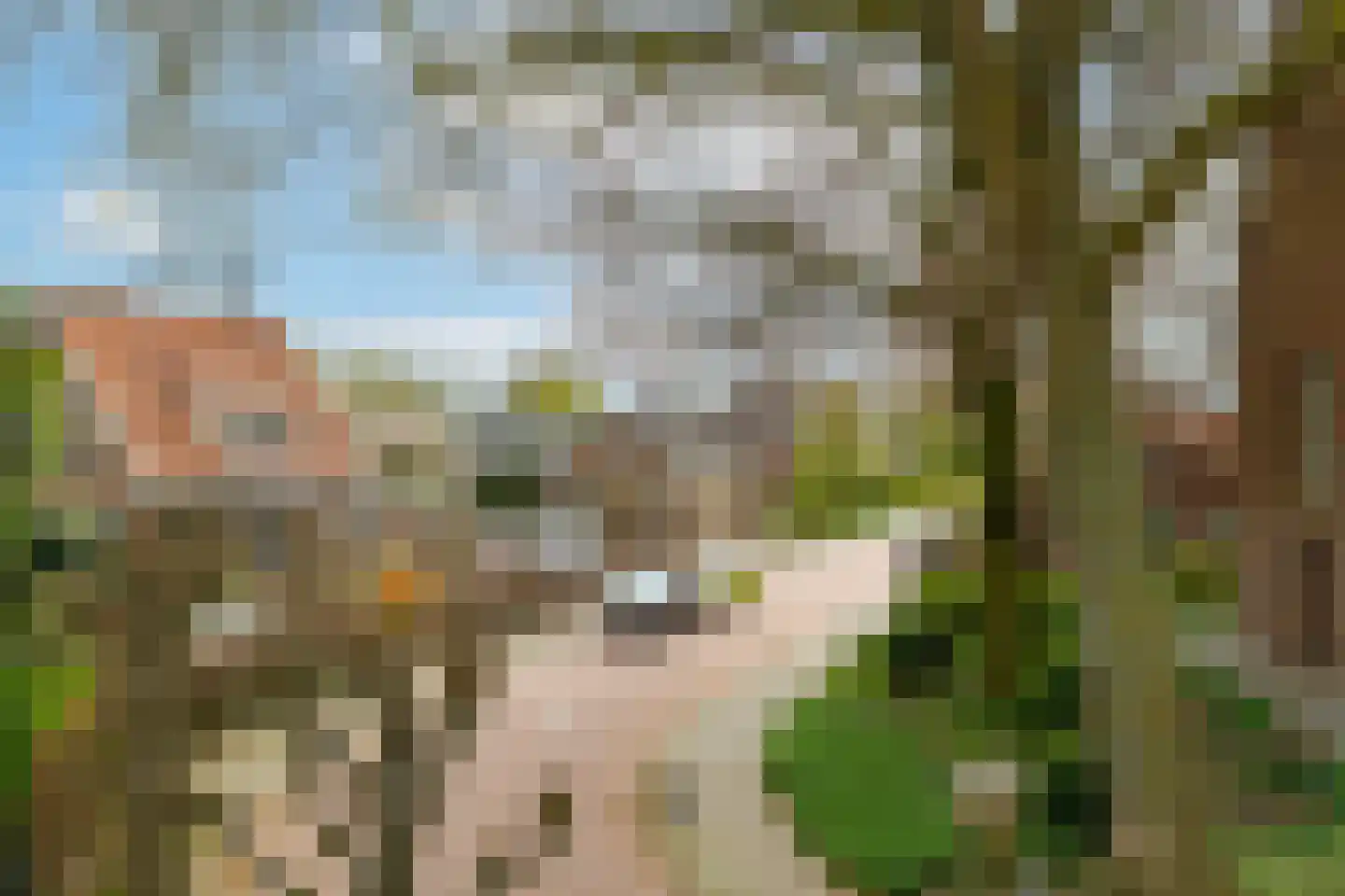 Kerkstraat 3 Andel thumbnail 36