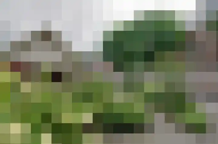 Kerkstraat 3 Beilen thumbnail 35