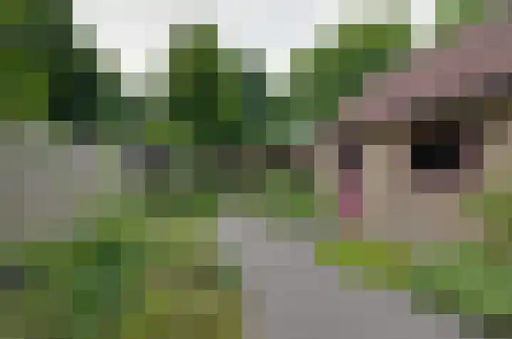 Kerkstraat 3 Beilen thumbnail 45