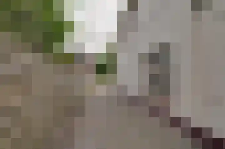 Kerkstraat 3 Beilen thumbnail 46