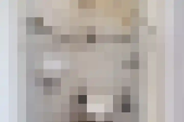 Kerkstraat 3 Grijpskerke thumbnail 11