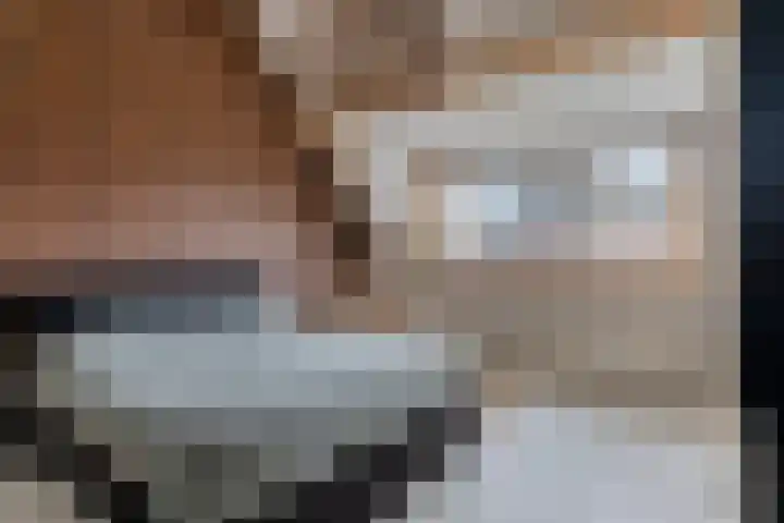 Kerkstraat 3 Grijpskerke thumbnail 12