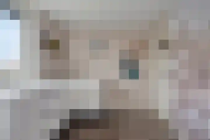 Kerkstraat 3 Grijpskerke thumbnail 18