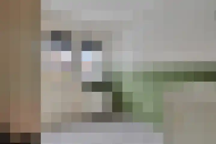 Kerkstraat 3 Grijpskerke thumbnail 20