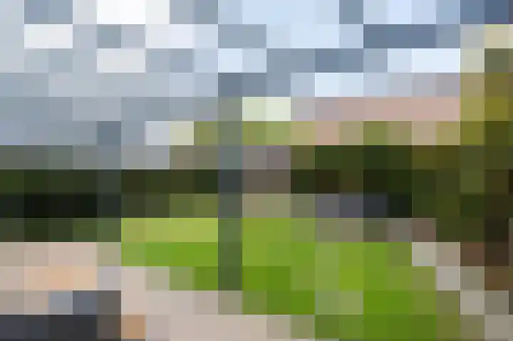 Kerkstraat 3 Grijpskerke thumbnail 22