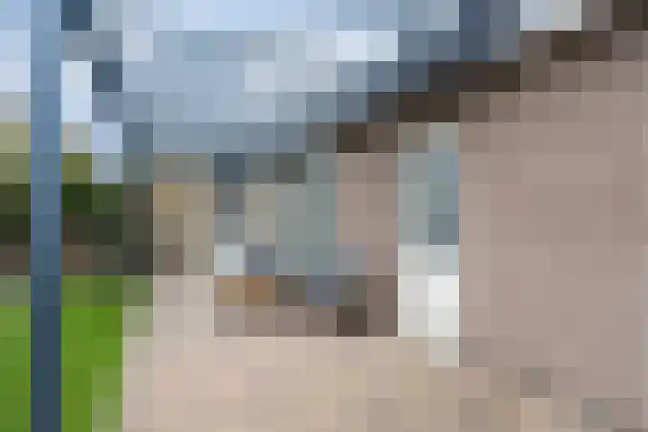 Kerkstraat 3 Grijpskerke thumbnail 24