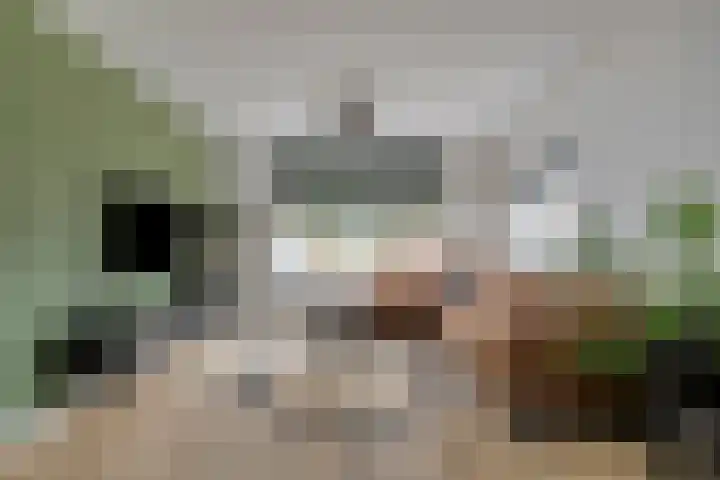 Kerkstraat 3 Grijpskerke thumbnail 5