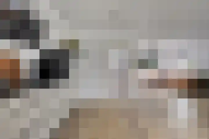 Kerkstraat 3 Grijpskerke thumbnail 8