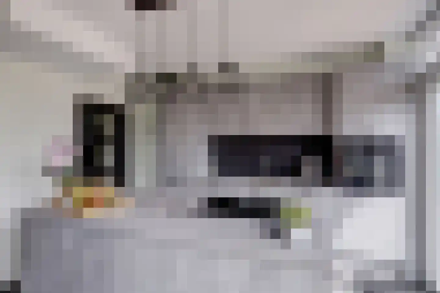 Kerkstraat 3 Hei- en Boeicop thumbnail 14