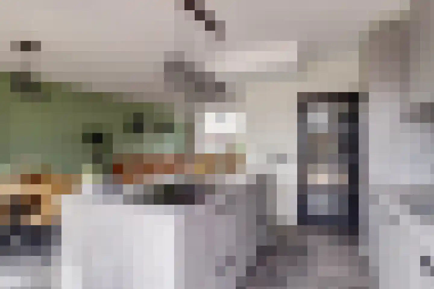 Kerkstraat 3 Hei- en Boeicop thumbnail 17