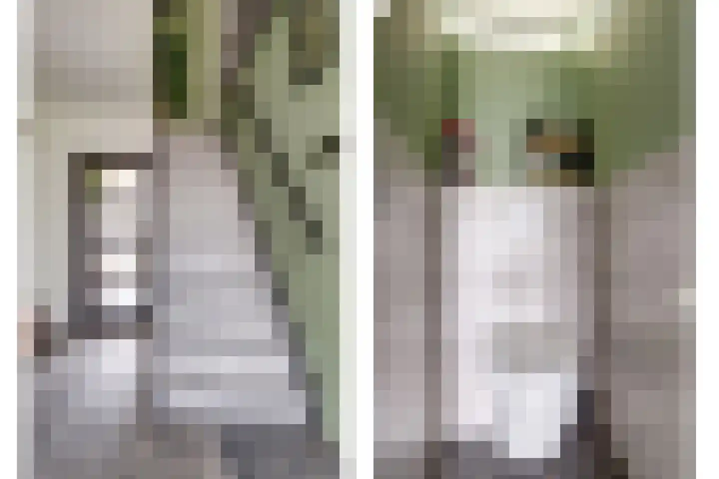 Kerkstraat 3 Hei- en Boeicop thumbnail 19