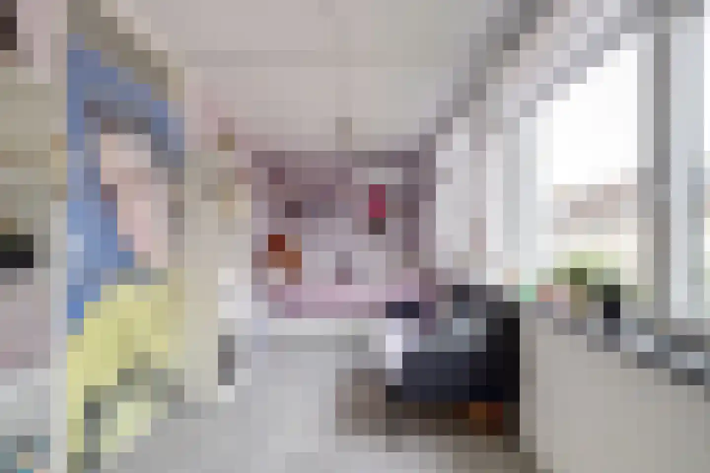 Kerkstraat 3 Hei- en Boeicop thumbnail 24
