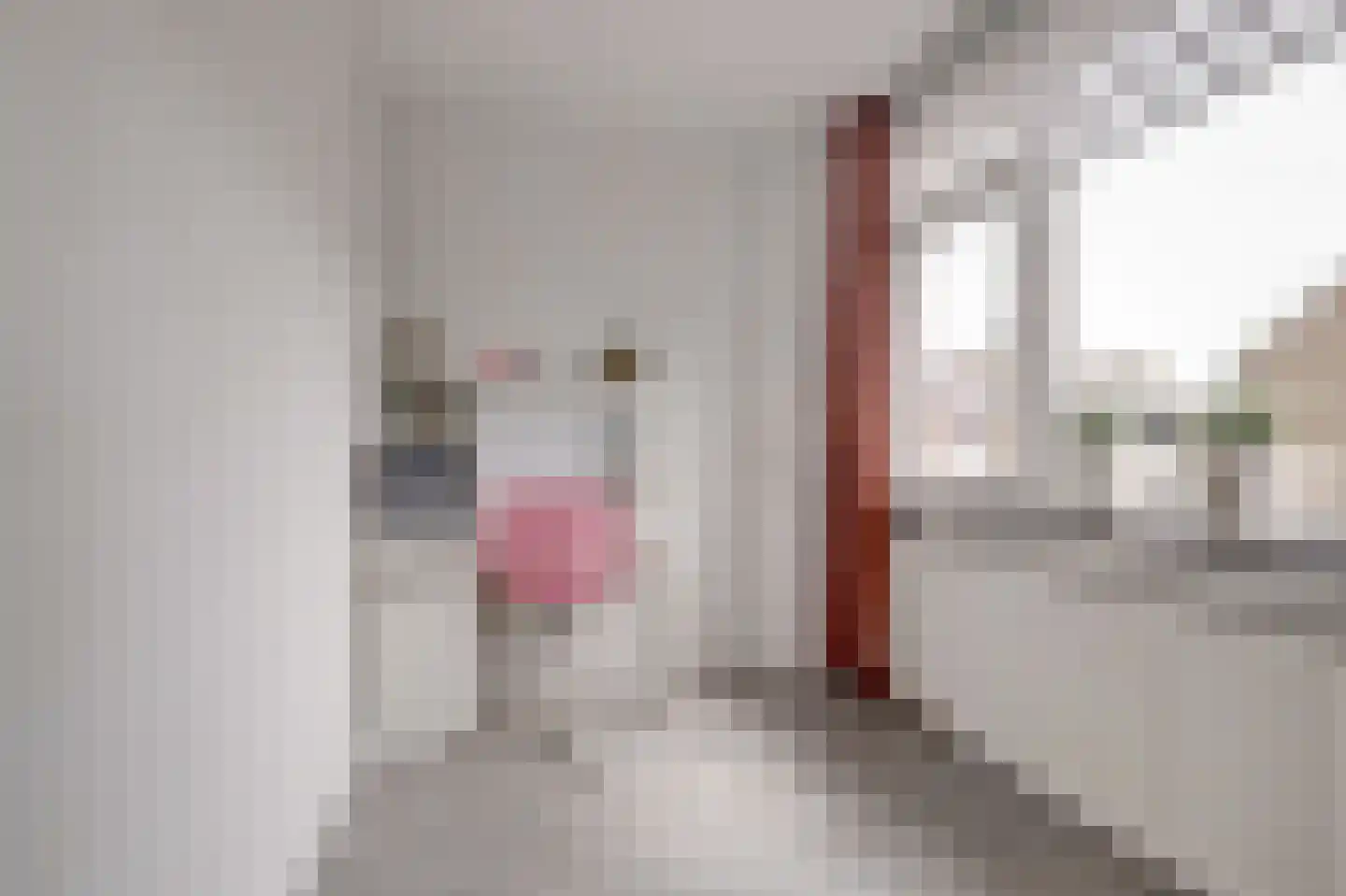 Kerkstraat 3 Hei- en Boeicop thumbnail 26