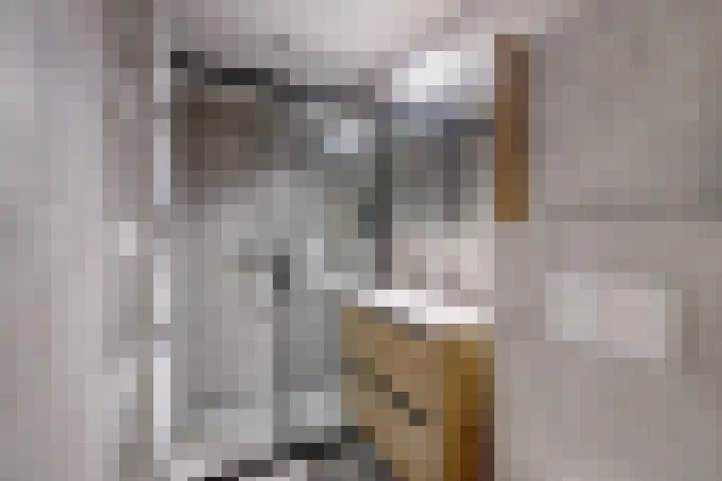 Kerkstraat 3 Hei- en Boeicop thumbnail 28