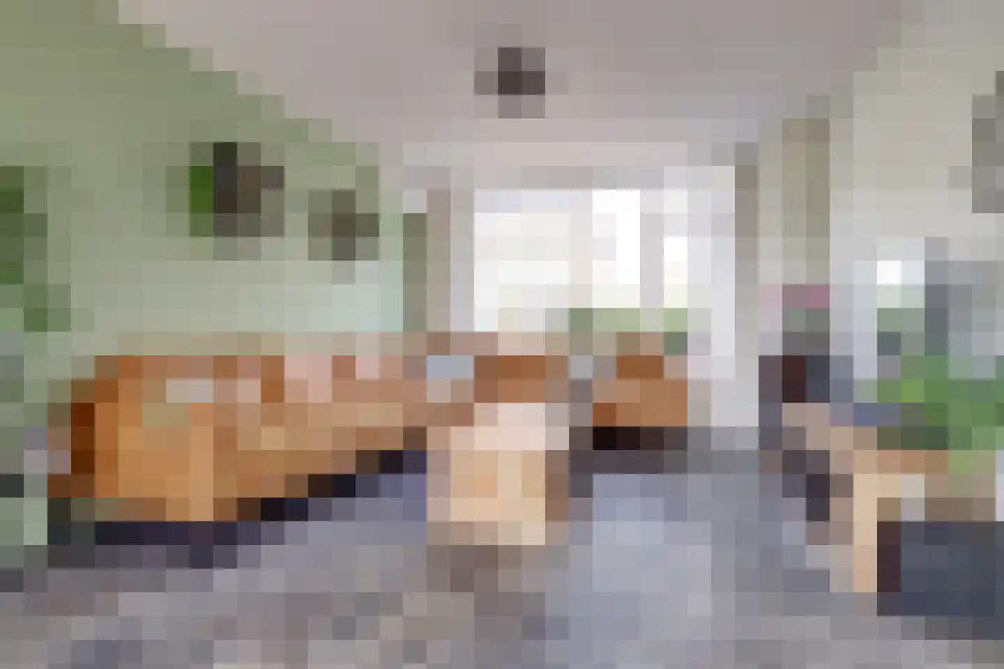 Kerkstraat 3 Hei- en Boeicop thumbnail 8