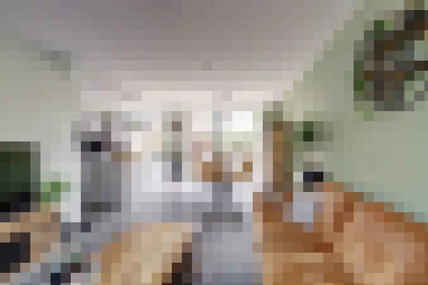 Kerkstraat 3 Hei- en Boeicop thumbnail 9