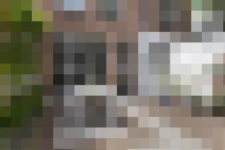 Kerkstraat 3 IJsselstein thumbnail 29