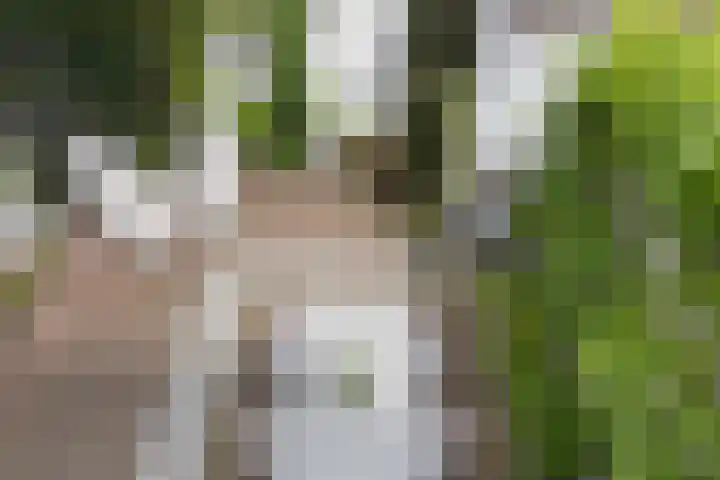Kerkstraat 3 IJsselstein thumbnail 34