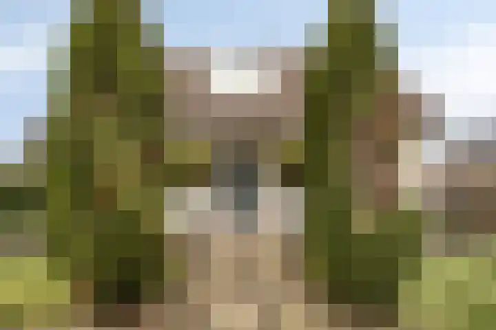 Kerkstraat 3 Linden thumbnail 10