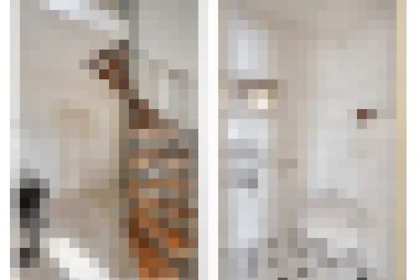 Kerkstraat 3 Linden thumbnail 11