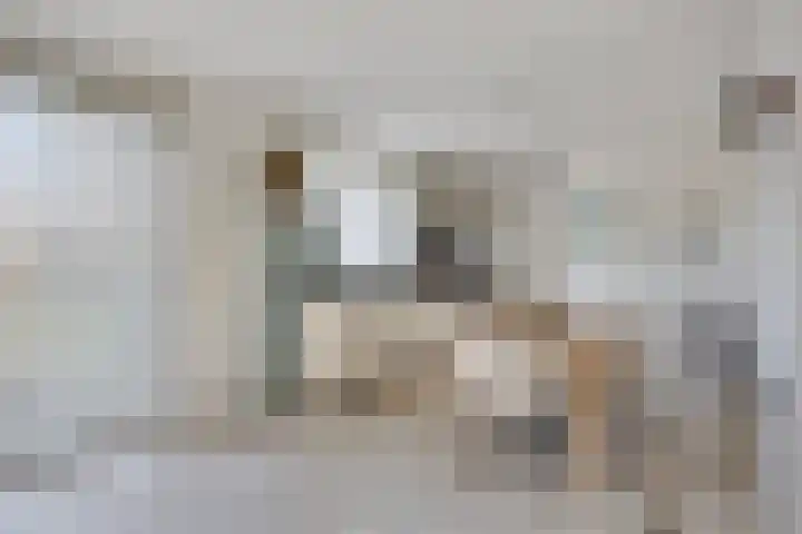 Kerkstraat 3 Linden thumbnail 19