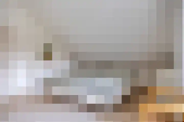 Kerkstraat 3 Linden thumbnail 38