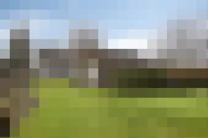 Kerkstraat 3 Linden thumbnail 43